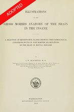 Load image into Gallery viewer, Illustrations of the gross morbid anatomy of the brain in the insane