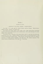 Load image into Gallery viewer, Illustrations of the gross morbid anatomy of the brain in the insane