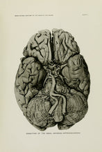 Load image into Gallery viewer, Illustrations of the gross morbid anatomy of the brain in the insane