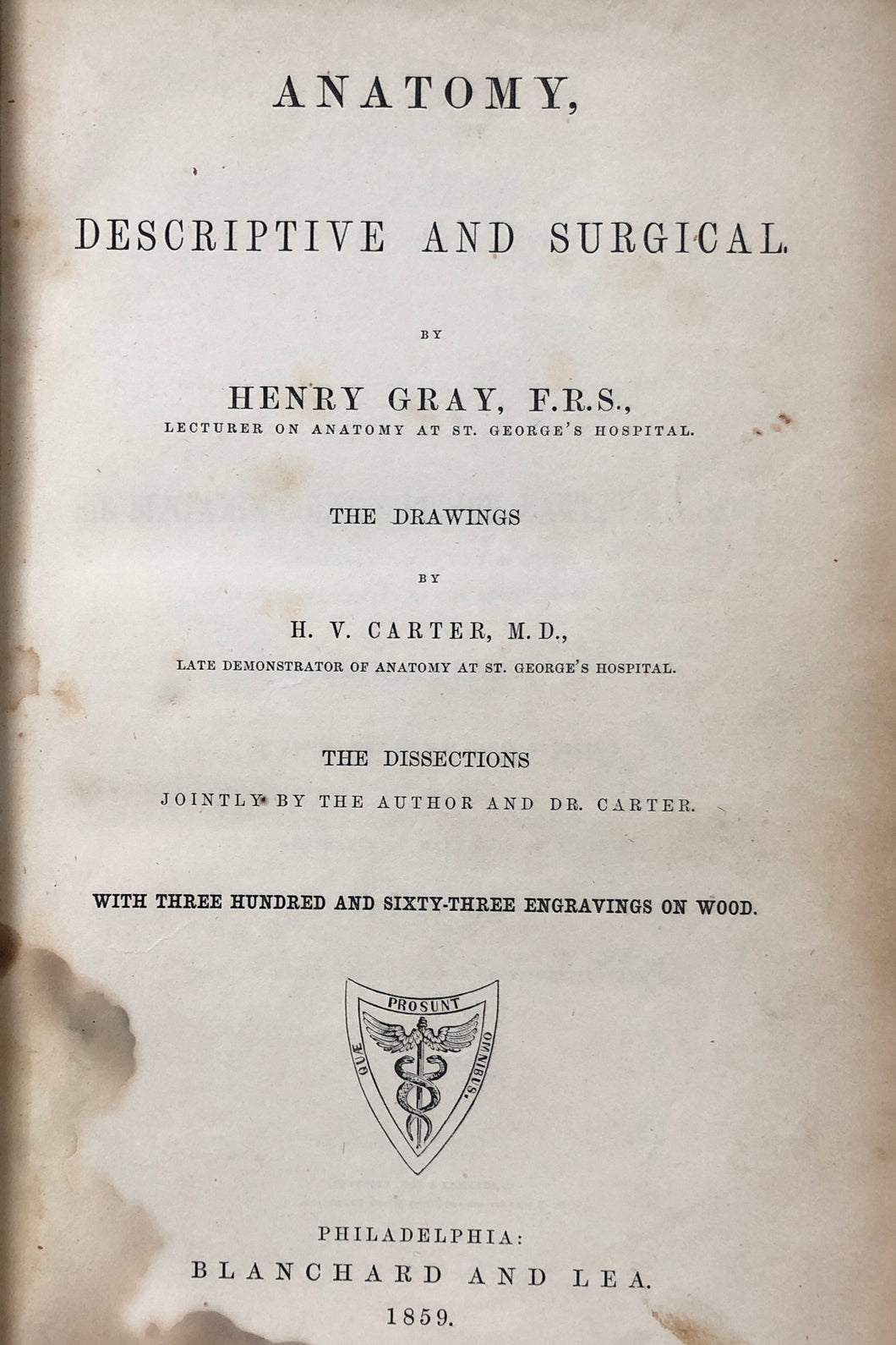 Anatomy, descriptive and surgical